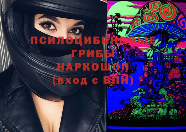 индика Верхний Тагил