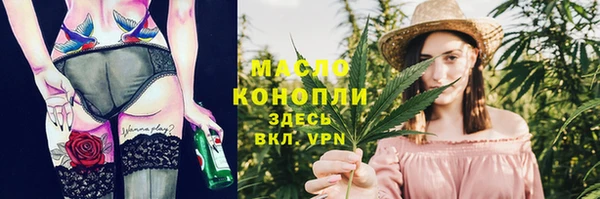 индика Верхний Тагил