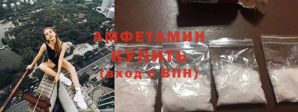 индика Верхний Тагил