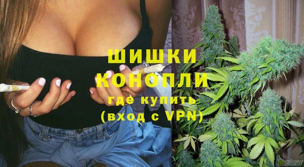 эйфоретик Бородино